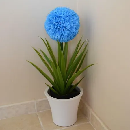 Vista Esmeralda En Playa Paraiso Appartement *