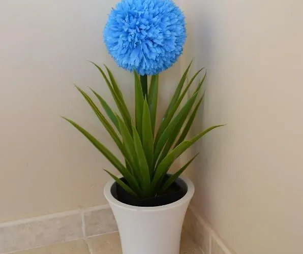 Vista Esmeralda En Playa Paraiso Apartment *